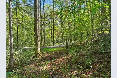 0 Tanglewood Lane, Ellijay, GA 30540 - Photo 6