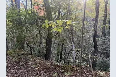 0 Wood Sorrel Lane, Clayton, GA 30525 - Photo 14