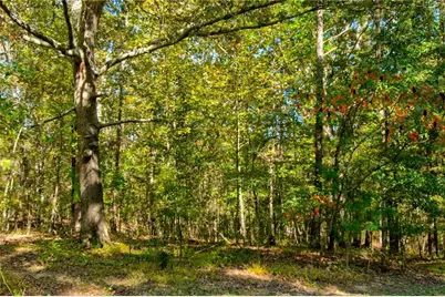 1656 Ewing Chapel Road, Dacula, GA 30019 - Photo 50