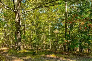 1656 Ewing Chapel Rd, Dacula, GA 30019 - Photo 50