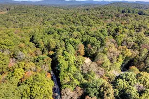 446 Riverwood Rd, Ellijay, GA 30536 - Photo 52