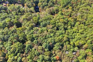 446 Riverwood Rd, Ellijay, GA 30536 - Photo 54