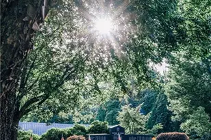 4135 Millstone Park Ln, Gainesville, GA 30504 - Photo 78