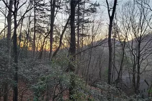 40 Trout Lily Trail, Big Canoe, GA 30143 - Photo 50