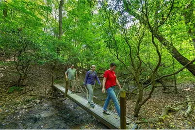 40 Trout Lily Trail, Big Canoe, GA 30143 - Photo 46