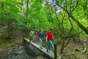 40 Trout Lily Trail, Big Canoe, GA 30143 - Photo 46