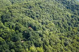 8 Mt Sequoyah Rd, Jasper, GA 30143 - Photo 72