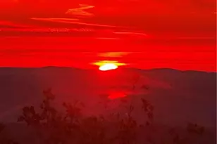 8 Mt Sequoyah Rd, Jasper, GA 30143 - Photo 86