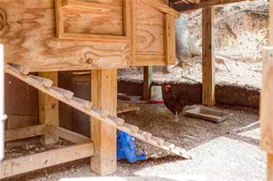 8 Mt Sequoyah Rd, Jasper, GA 30143 - Photo 64