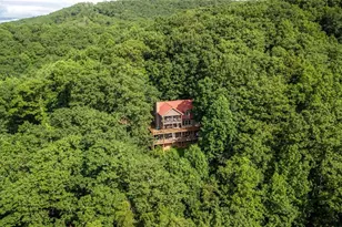 8 Mt Sequoyah Rd, Jasper, GA 30143 - Photo 68