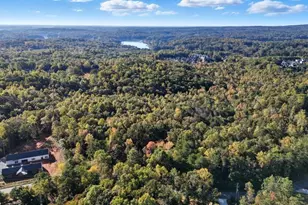 3 Henry Pirkle Dr, Dawsonville, GA 30534 - Photo 34