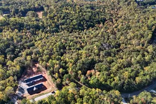 3 Henry Pirkle Dr, Dawsonville, GA 30534 - Photo 30