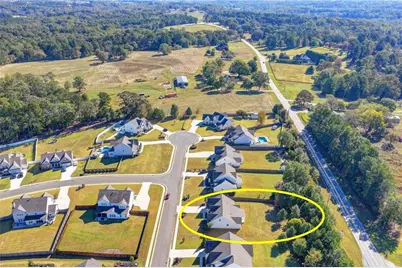 840 Champagne Lane, Hoschton, GA 30548 - Photo 74