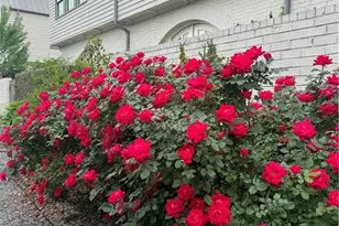 505 Juniper Ln, Fayetteville, GA 30214 - Photo 40