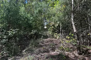 246 Andes Ridge, Jasper, GA 30536 - Photo 28