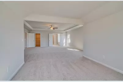 416 Hatcher Court, Hampton, GA 30228 - Photo 30