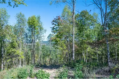 3879 Hwy 140 NE, Rydal, GA 30171 - Photo 4