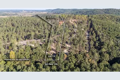 3879 Hwy 140 NE, Rydal, GA 30171 - Photo 2