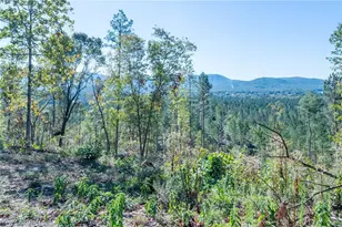 3879 Hwy 140 NE, Rydal, GA 30171 - Photo 1