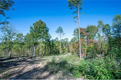 3875 Hwy 140 NE, Rydal, GA 30171 - Photo 10