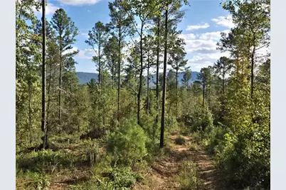 3871 Hwy 140 NE, Rydal, GA 30171 - Photo 4