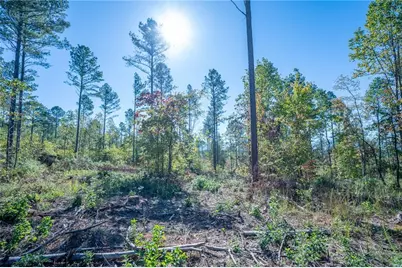 3871 Hwy 140 NE, Rydal, GA 30171 - Photo 8