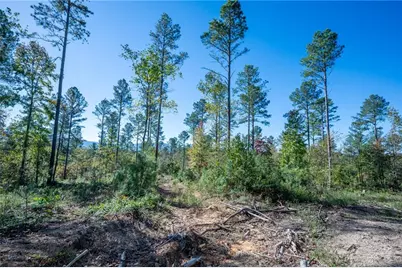 3867 Hwy 140 NE, Rydal, GA 30171 - Photo 12