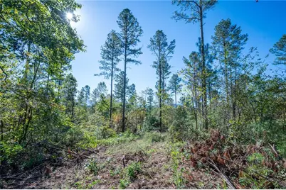 3867 Hwy 140 NE, Rydal, GA 30171 - Photo 10