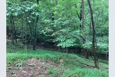 8036 Blackgum Drive, Jasper, GA 30143 - Photo 6