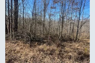 3011 Mark Foster, Talking Rock, GA 30175 - Photo 10