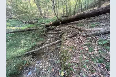 3011 Mark Foster, Talking Rock, GA 30175 - Photo 8