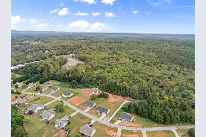 203 Russell Woods Drive, Mount Airy, GA 30563 - Photo 30