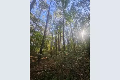 4861 Moon Road, Powder Springs, GA 30127 - Photo 1