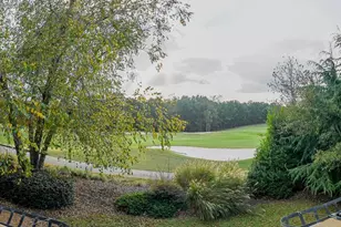 1041 Windermere Crossing, Cumming, GA 30041 - Photo 64