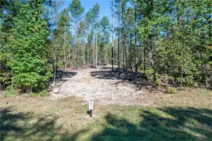 3863 Hwy 140 NE, Rydal, GA 30171 - Photo 1