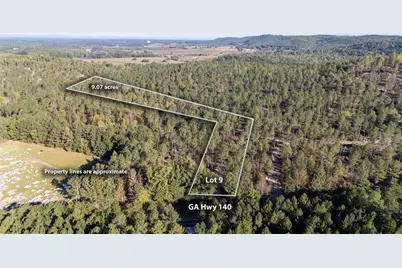 3863 Hwy 140 NE, Rydal, GA 30171 - Photo 4
