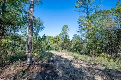3863 Hwy 140 NE, Rydal, GA 30171 - Photo 8