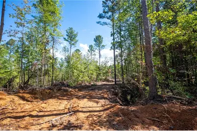 3809 Hwy 140 NE, Rydal, GA 30171 - Photo 12