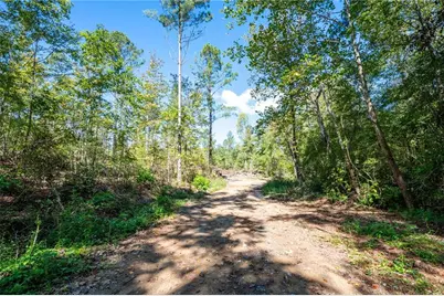3809 Hwy 140 NE, Rydal, GA 30171 - Photo 18