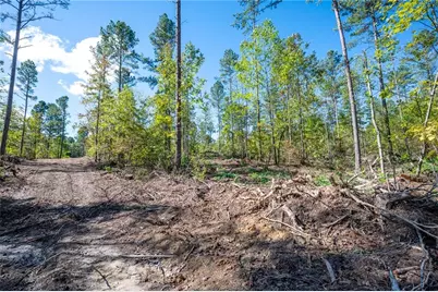 3809 Hwy 140 NE, Rydal, GA 30171 - Photo 8