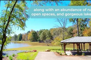 215 Storm Ln, Hoschton, GA 30548 - Photo 40