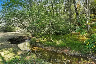 136 Ross Rd, Mineral Bluff, GA 30559 - Photo 54