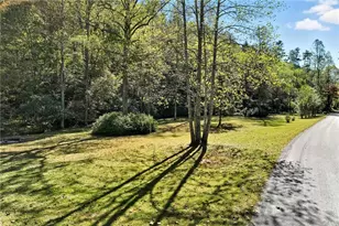 136 Ross Rd, Mineral Bluff, GA 30559 - Photo 54
