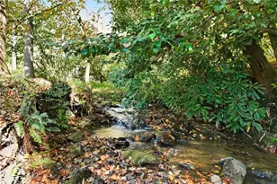 136 Ross Rd, Mineral Bluff, GA 30559 - Photo 6