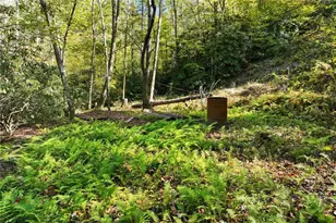 136 Ross Rd, Mineral Bluff, GA 30559 - Photo 58