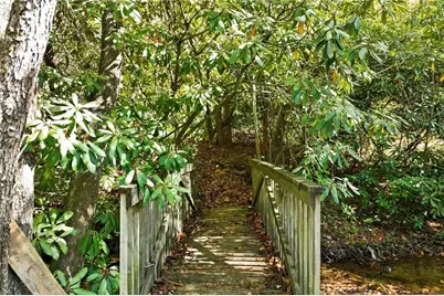 136 Ross Road, Mineral Bluff, GA 30559 - Photo 58