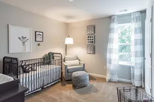 225 Storm Ln, Hoschton, GA 30548 - Photo 12