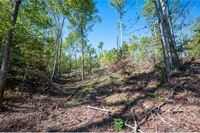 3793 Hwy 140 NE, Rydal, GA 30171 - Photo 22