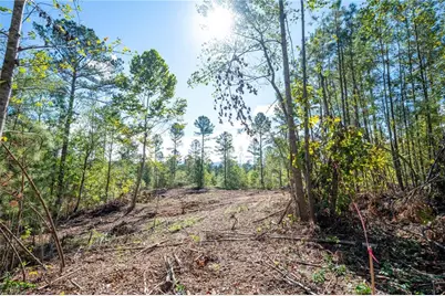3793 Hwy 140 NE, Rydal, GA 30171 - Photo 18