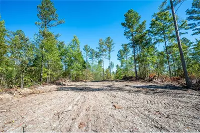 3793 Hwy 140 NE, Rydal, GA 30171 - Photo 6